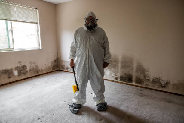 Best Mold Remediation for Healthcare Facilities  in Cupertino, CA